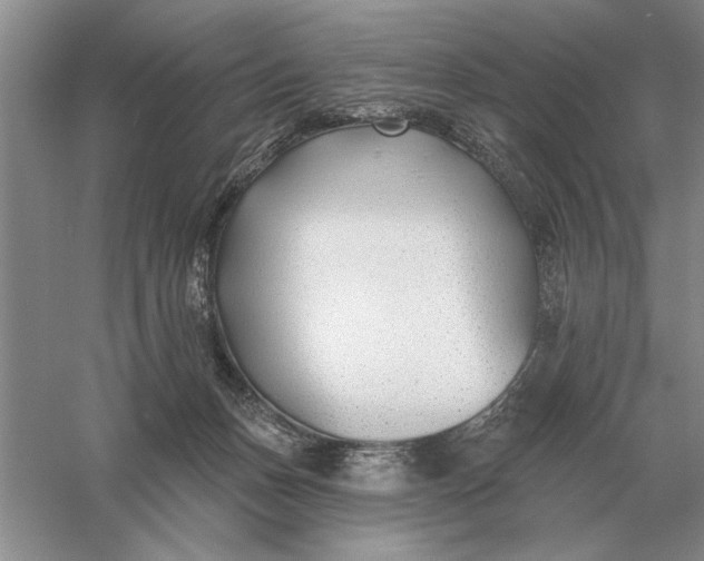 X0000056010175200509092121