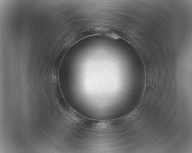 X0000056010176200509092121