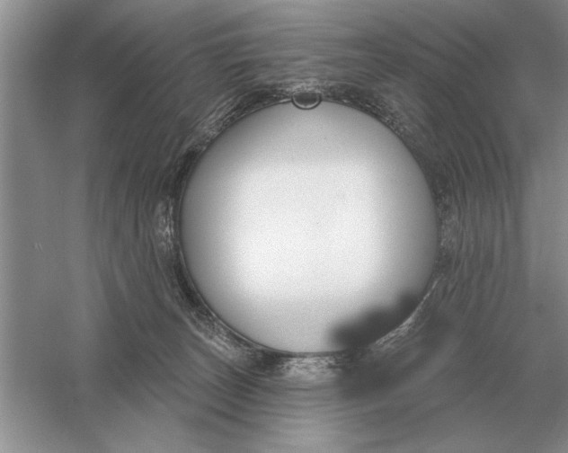 X0000056010179200509092121