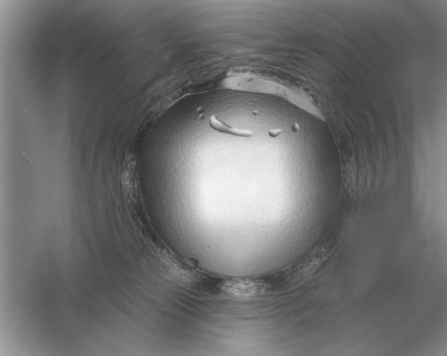 X0000056010181200509092121