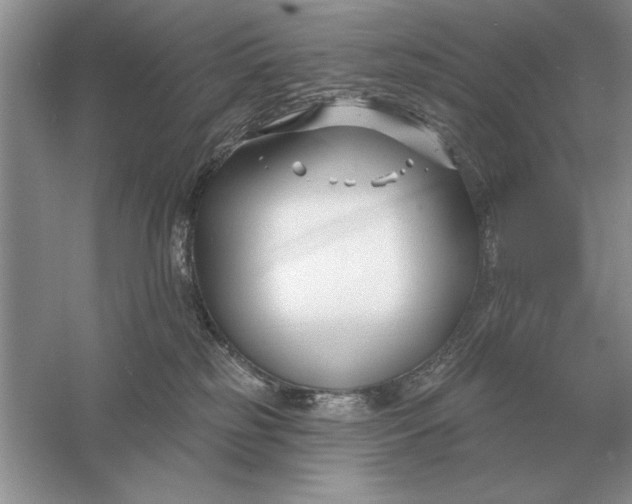 X0000056010185200509092122