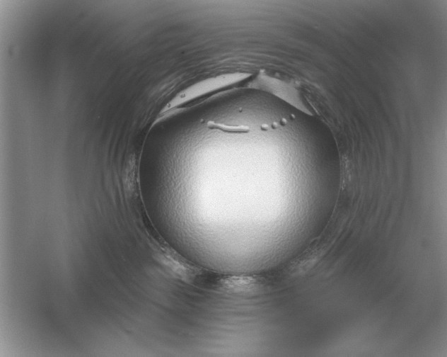 X0000056010189200509092122