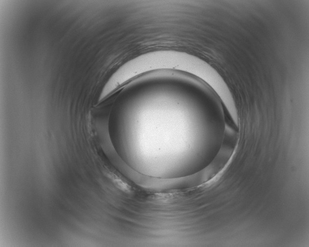 X0000056010190200509092122