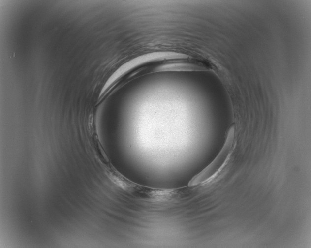 X0000056010192200509092122