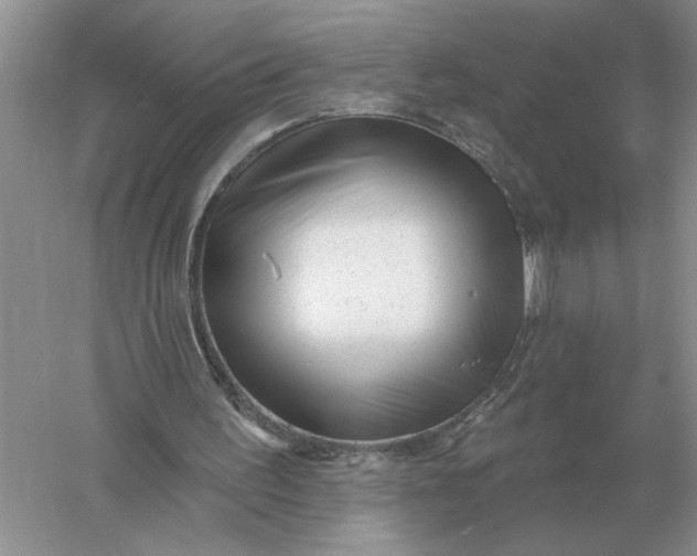 X0000056010195200509092121