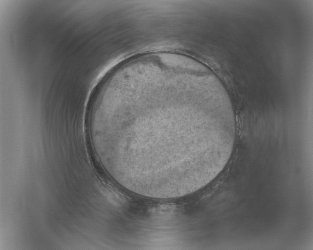 X0000056010196200509092121