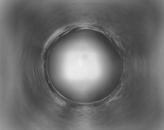 X0000056010197200509092121