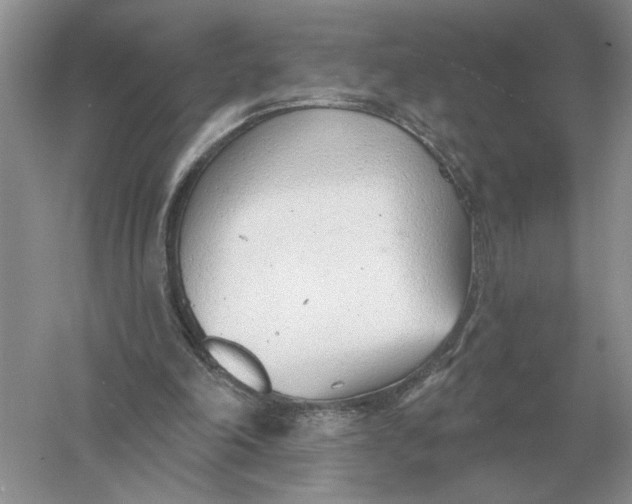 X0000056010198200509092121