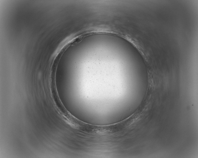 X0000056010199200509092121