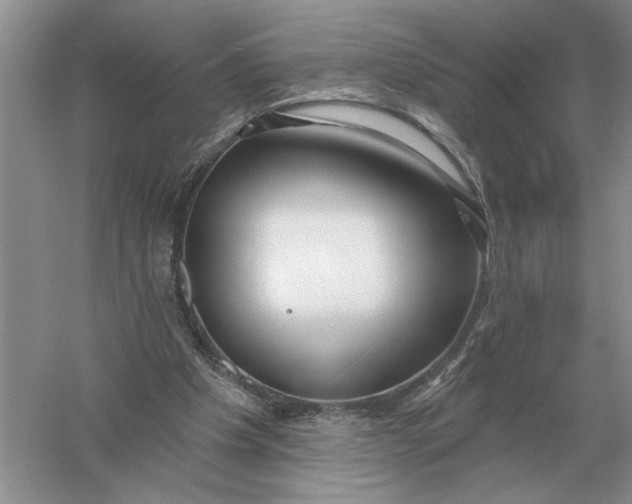 X0000056010201200509092121