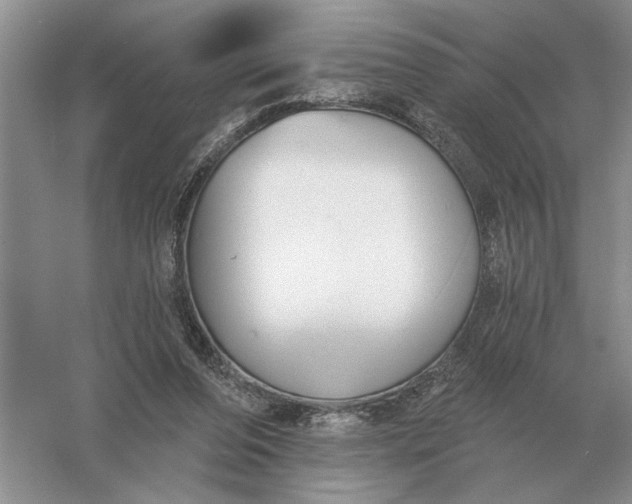 X0000056010208200509092121