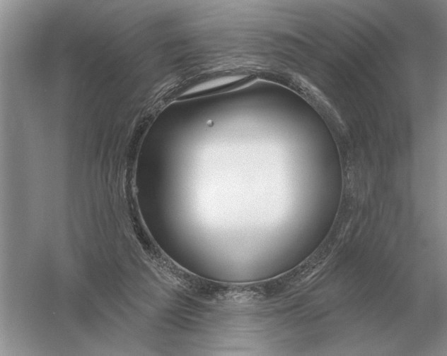 X0000056010209200509092121