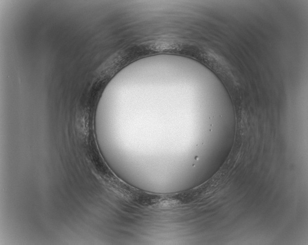 X0000056010210200509092121