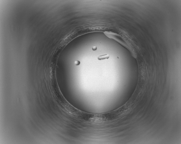 X0000056010211200509092121