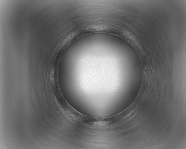 X0000056010212200509092121