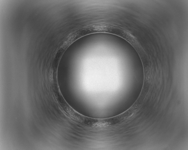 X0000056010213200509092121