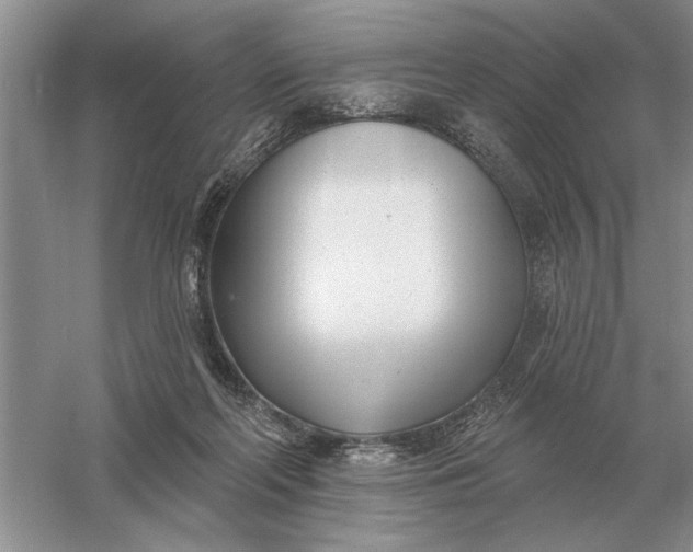 X0000056010214200509092120