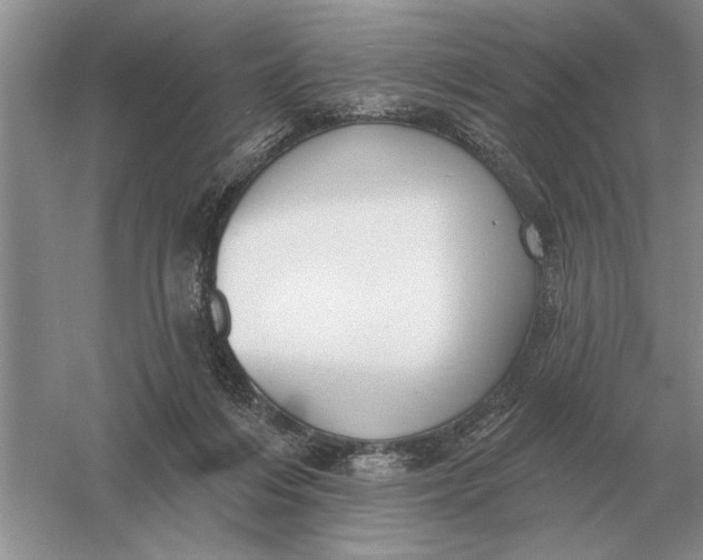 X0000056010216200509092120