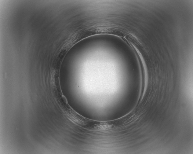 X0000056010217200509092120