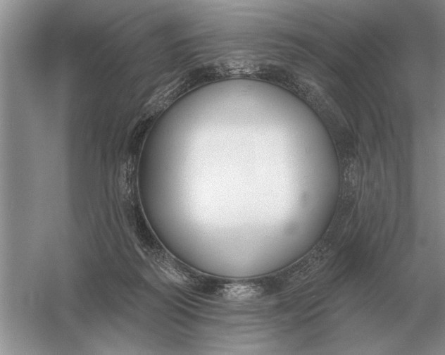 X0000056010218200509092120