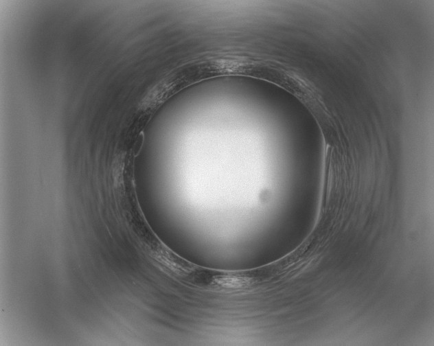 X0000056010221200509092120