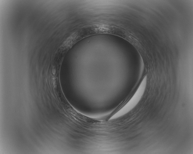 X0000056010223200509092120