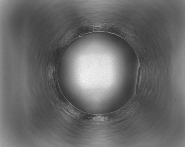 X0000056010225200509092120