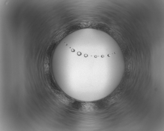 X0000056010226200509092120