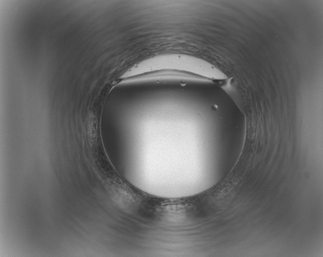 X0000056010228200509092120