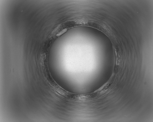 X0000056010229200509092120