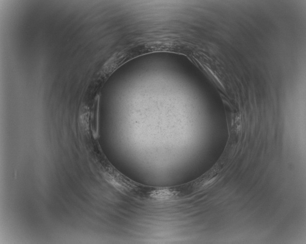 X0000056010231200509092120