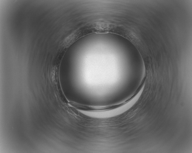 X0000056010233200509092120