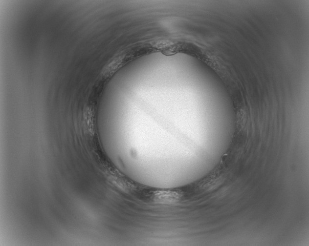 X0000056010234200509092120