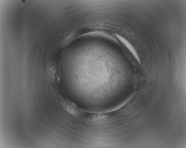 X0000056010235200509092120