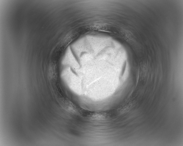 X0000056010236200509092120