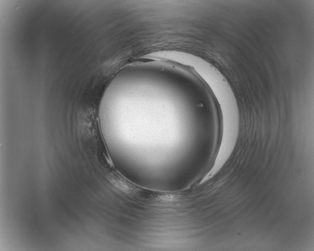 X0000056010237200509092120