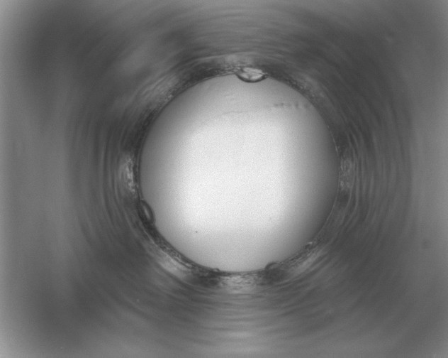 X0000056010238200509092120