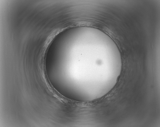 X0000056010241200509092119