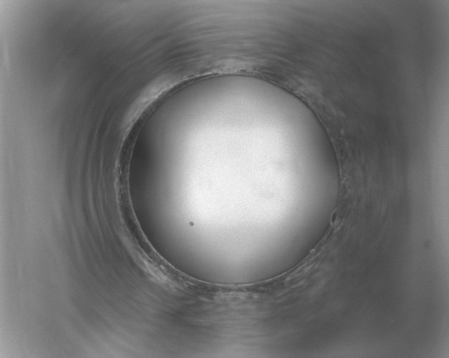 X0000056010242200509092119