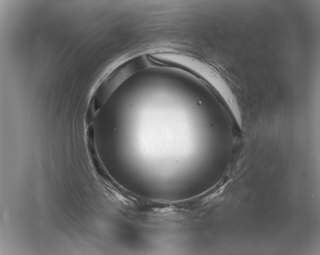 X0000056010244200509092119