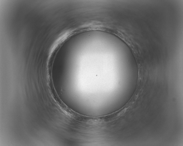 X0000056010245200509092119