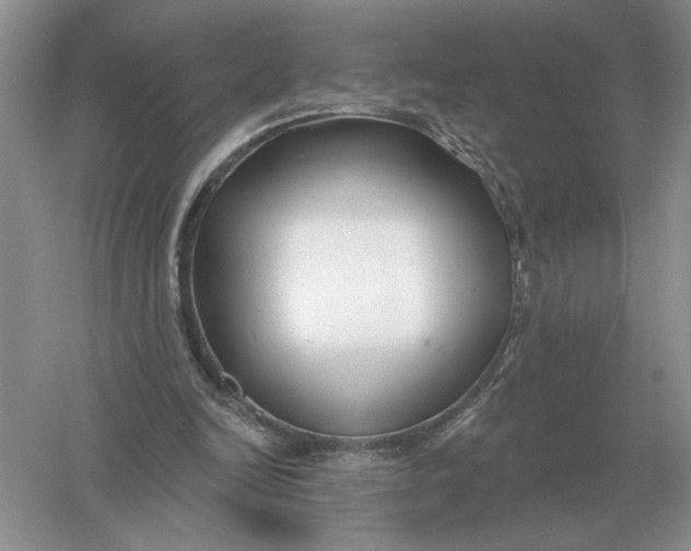 X0000056010246200509092119