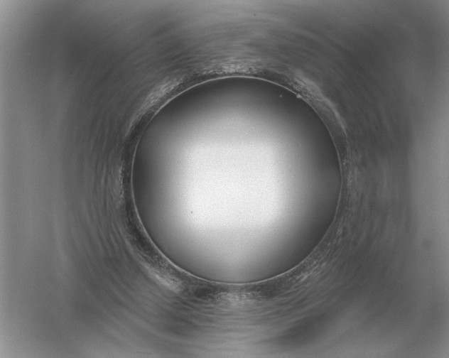 X0000056010250200509092119