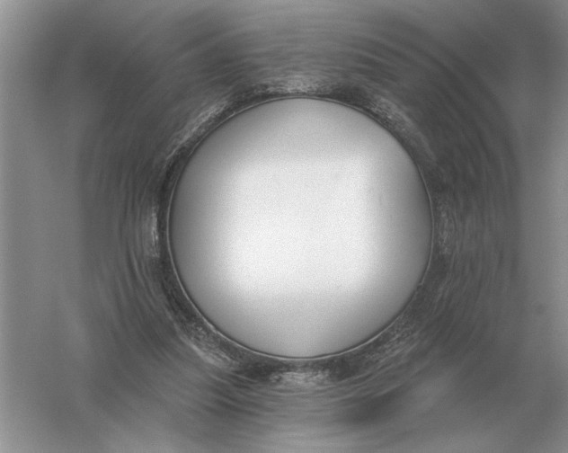 X0000056010251200509092119