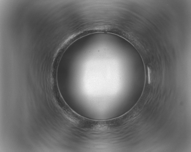 X0000056010252200509092119