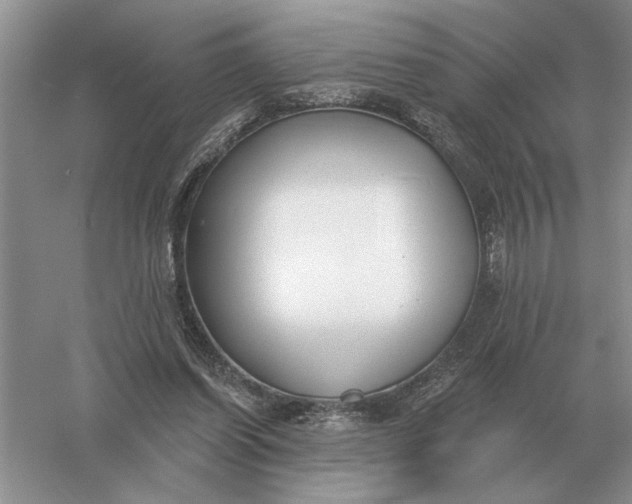 X0000056010254200509092119