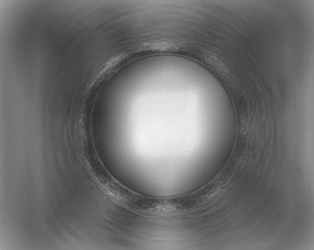 X0000056010256200509092119