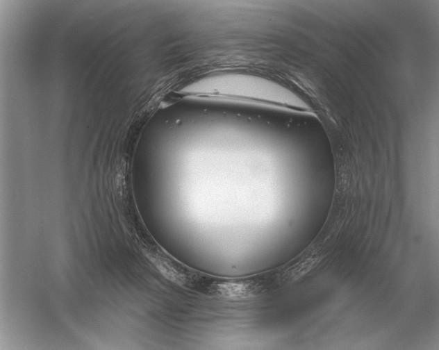 X0000056010265200509092120