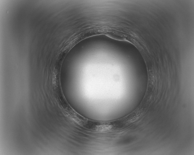 X0000056010266200509092120