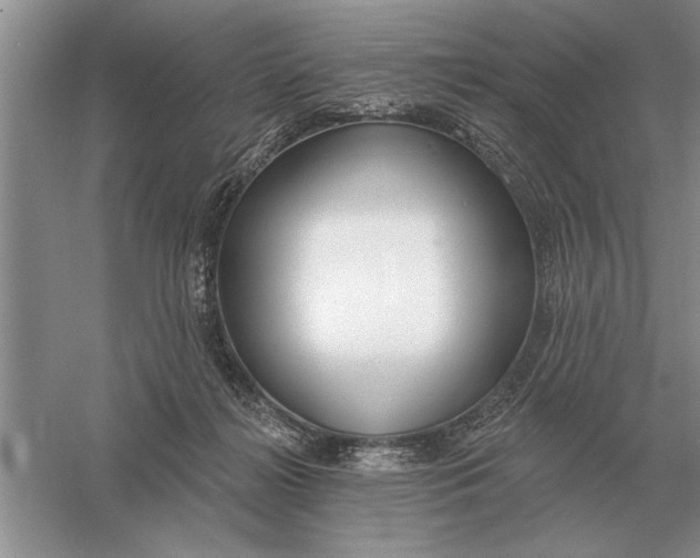 X0000056010268200509092120